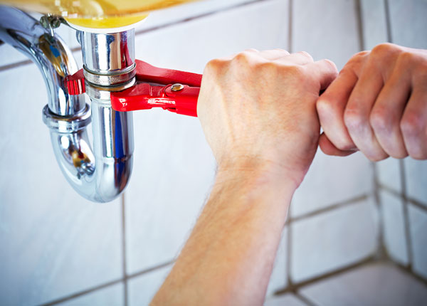 About Maple Grove Plumbers